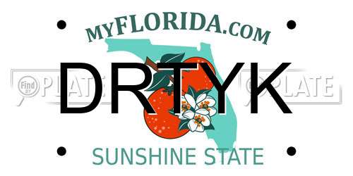 DRTYK Florida License Plate
