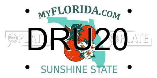 DRU20 Florida License Plate