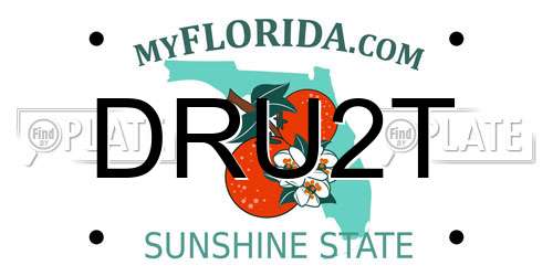 DRU2T Florida License Plate