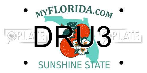 DRU3 Florida License Plate