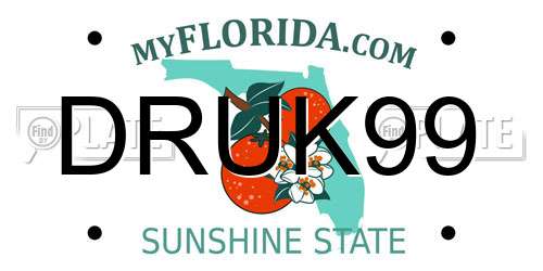 DRUK99 Florida License Plate