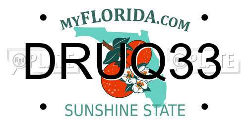 DRUQ33 Florida License Plate