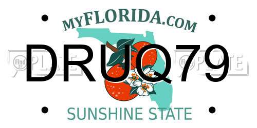 DRUQ79 Florida License Plate
