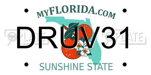 DRUV31 Florida License Plate