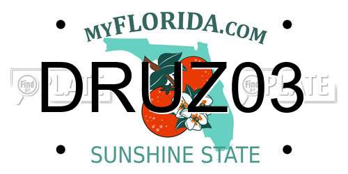 DRUZ03 Florida License Plate