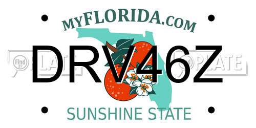 DRV46Z Florida License Plate