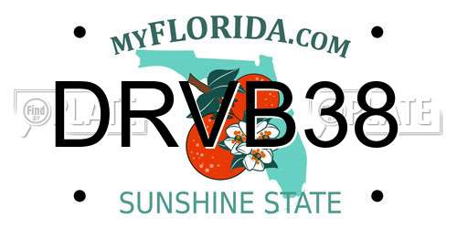DRVB38 Florida License Plate