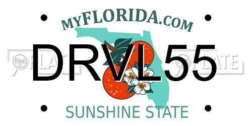 DRVL55 Florida License Plate