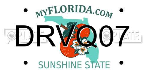 DRVQ07 Florida License Plate