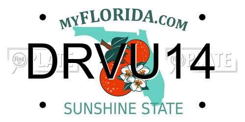 DRVU14 Florida License Plate