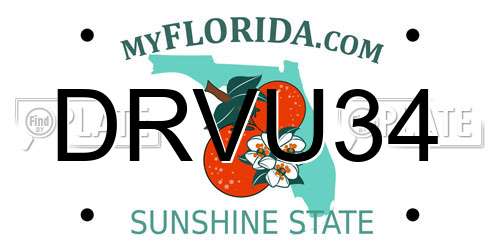 DRVU34 Florida License Plate