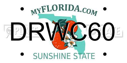 DRWC60 Florida License Plate