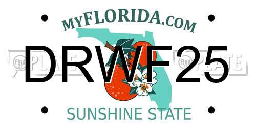 DRWF25 Florida License Plate