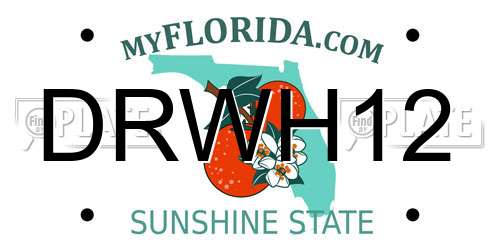 DRWH12 Florida License Plate