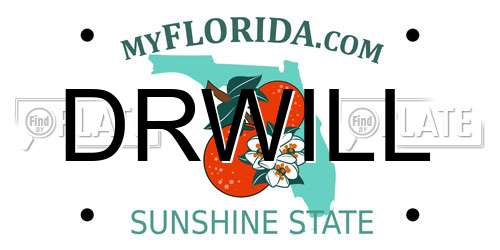 DRWILL Florida License Plate