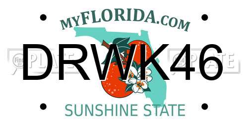 DRWK46 Florida License Plate