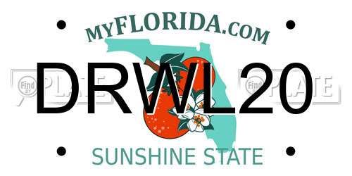 DRWL20 Florida License Plate