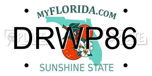 DRWP86 Florida License Plate