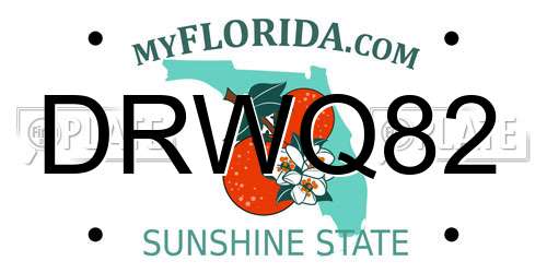 DRWQ82 Florida License Plate