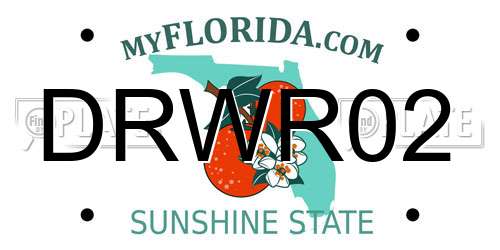 DRWR02 Florida License Plate