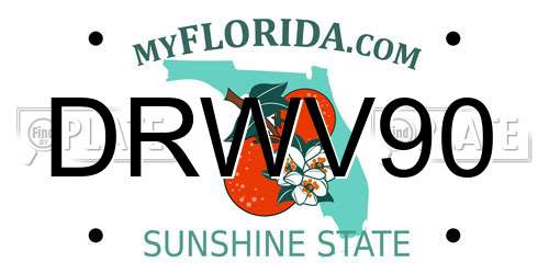 DRWV90 Florida License Plate