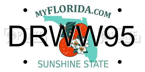 DRWW95 Florida License Plate