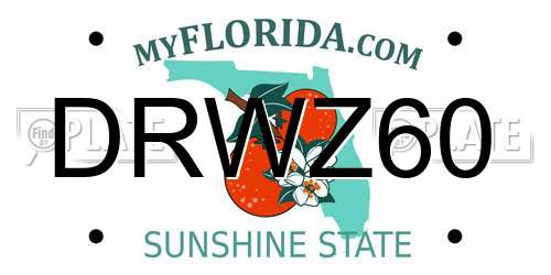 DRWZ60 Florida License Plate