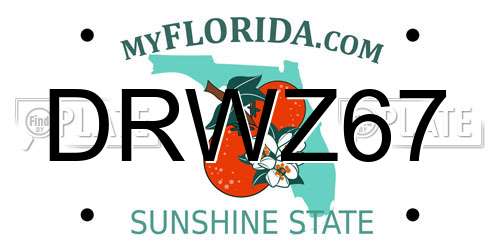 DRWZ67 Florida License Plate
