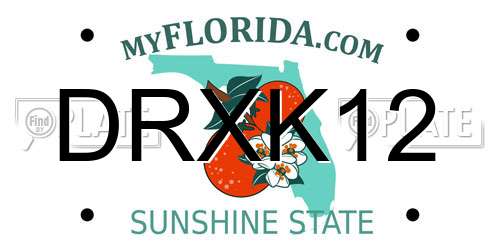 DRXK12 Florida License Plate