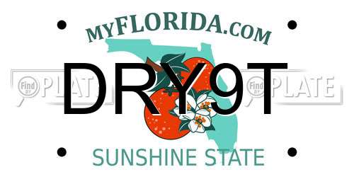 DRY9T Florida License Plate