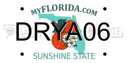 DRYA06 Florida License Plate