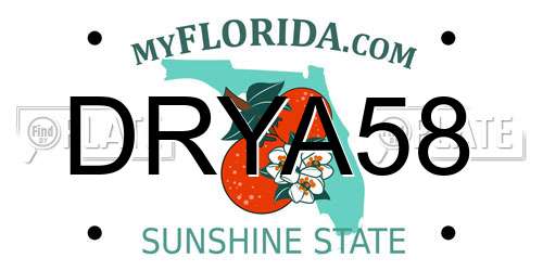 DRYA58 Florida License Plate