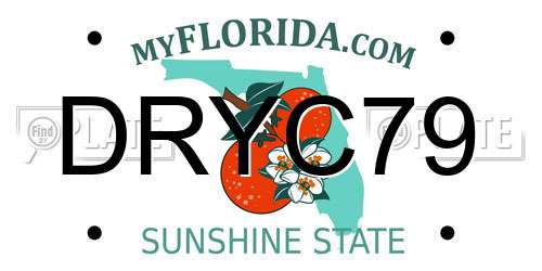 DRYC79 Florida License Plate