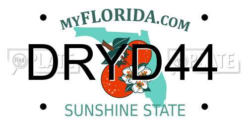 DRYD44 Florida License Plate
