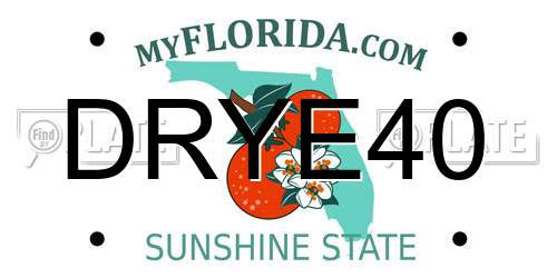 DRYE40 Florida License Plate