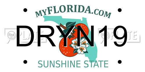 DRYN19 Florida License Plate