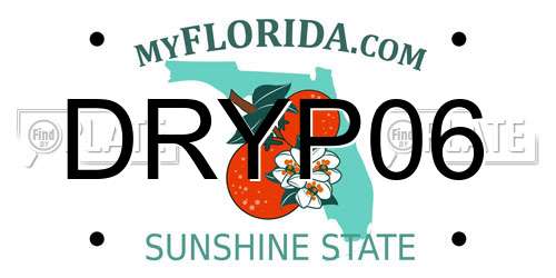 DRYP06 Florida License Plate
