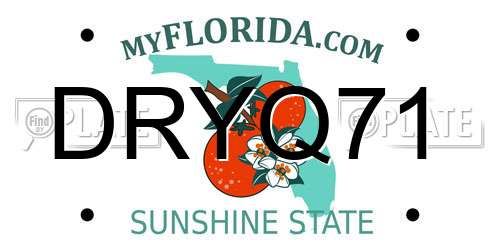 DRYQ71 Florida License Plate