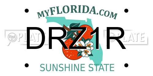 DRZ1R Florida License Plate
