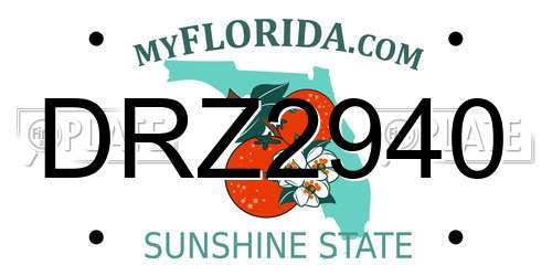 DRZ2940 Florida License Plate