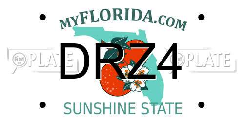 DRZ4 Florida License Plate