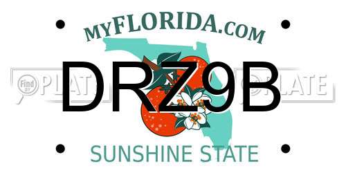 DRZ9B Florida License Plate