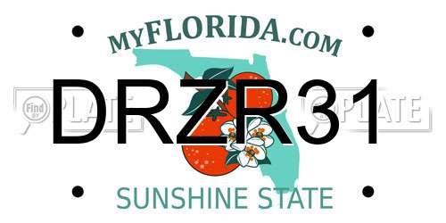 DRZR31 Florida License Plate