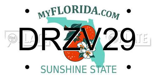 DRZV29 Florida License Plate