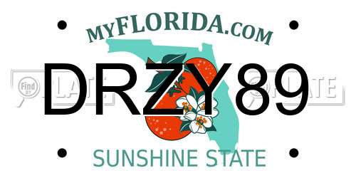 DRZY89 Florida License Plate