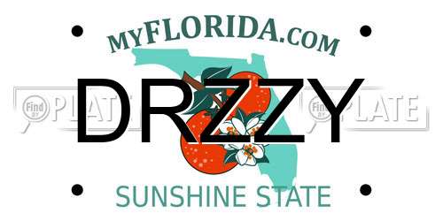 DRZZY Florida License Plate