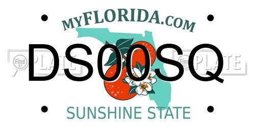 DS00SQ Florida License Plate