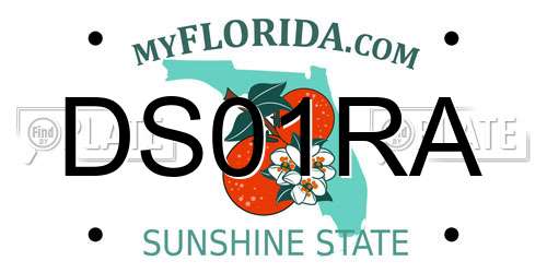 DS01RA Florida License Plate