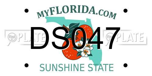 DS047 Florida License Plate