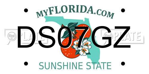 DS07GZ Florida License Plate